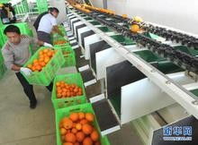 深圳二手食品生產(chǎn)線進口代理全流程解析 西班牙搬遷、備案中檢、報關(guān)一站式服務